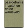 Paardetrams in zutphen eefde warnsveld by Klomp