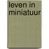 Leven in miniatuur