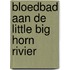 Bloedbad aan de little big horn rivier