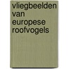 Vliegbeelden van europese roofvogels by Unknown