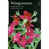 Pelargoniums door Corinne Hofmann