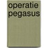 Operatie Pegasus