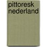 Pittoresk nederland