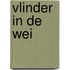 Vlinder in de wei