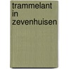 Trammelant in zevenhuisen by Gust Gils