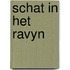 Schat in het ravyn