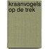 Kraanvogels op de trek