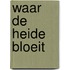 Waar de heide bloeit