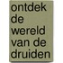 Ontdek de wereld van de druiden