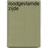 Roodgevlamde zijde by R. Sutcliff