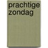 Prachtige zondag