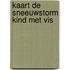 Kaart de sneeuwstorm kind met vis