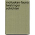 Mollusken-fauna twistringer schichten