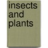 Insects and plants