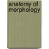 Anatomy of morphology