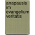 Anapausis im evangelium veritatis