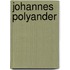 Johannes polyander