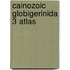 Cainozoic globigerinida 3 atlas