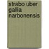 Strabo uber gallia narbonensis