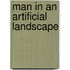 Man in an artificial landscape