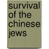 Survival of the chinese jews