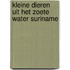 Kleine dieren uit het zoete water suriname