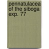 Pennatulacea of the siboga exp. 77 door Hickson