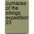 Cumacea of the siboga expedition 23