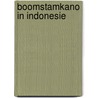 Boomstamkano in indonesie door Nooteboom