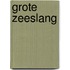 Grote zeeslang