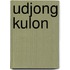 Udjong kulon