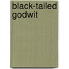 Black-tailed godwit by Haverschmidt