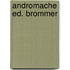 Andromache ed. brommer