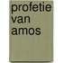 Profetie van amos