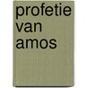 Profetie van amos door Kaj Elhorst