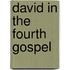 David in the fourth gospel