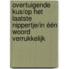 Overtuigende kus/Op het laatste nippertje/In één woord verrukkelijk door Kate Little