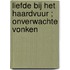 Liefde bij het haardvuur ; Onverwachte vonken