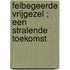 Felbegeerde vrijgezel ; Een stralende toekomst