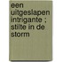 Een uitgeslapen intrigante ; Stilte in de storm