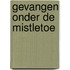 Gevangen onder de mistletoe