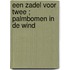 Een zadel voor twee ; Palmbomen in de wind