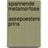 Spannende metamorfose ; Assepoesters prins