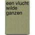 Een vlucht wilde ganzen