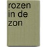 Rozen in de zon