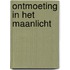 Ontmoeting in het maanlicht