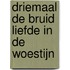 Driemaal de bruid liefde in de woestijn