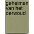 Geheimen van het oerwoud