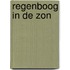 Regenboog in de zon