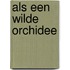 Als een wilde orchidee